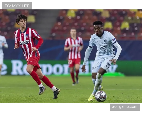 西蒙尼反压迫理念引领社会公正新实践：呼吁打破权力壁垒引发广泛关注